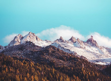 开云注册平台：让成长从简开始